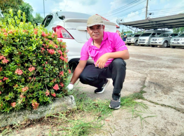สหกรณ์จังหวัดบึงกาฬ ... พารามิเตอร์รูปภาพ 4